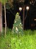 AK_Christmas_Tree_1.JPG