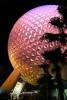 epcot-SSE-and-palm.jpg