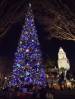 Christmas_tree_Carthay_Circle.JPG