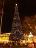 MK_Christmas_Tree_Night_20101222.JPG