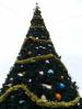 Christmas_tree.JPG