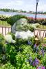 Epcot_118_SW_SD_Topiaries_1_of_1_.jpg