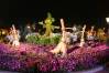Flower_and_Garden_Festival_Sorcerer_Mickey_Topiary_at_Night_1_of_1_.jpg
