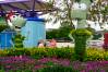 Flower_and_Garden_Festival_Sorcerer_Phineas_and_Ferb_Topiaries_1_of_1_.jpg