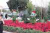 wolfhunt_-_Mickey_and_Minnie_Christmas_Topiary.jpg