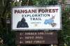 Pangani_Forest_Exploration_Trail.jpg