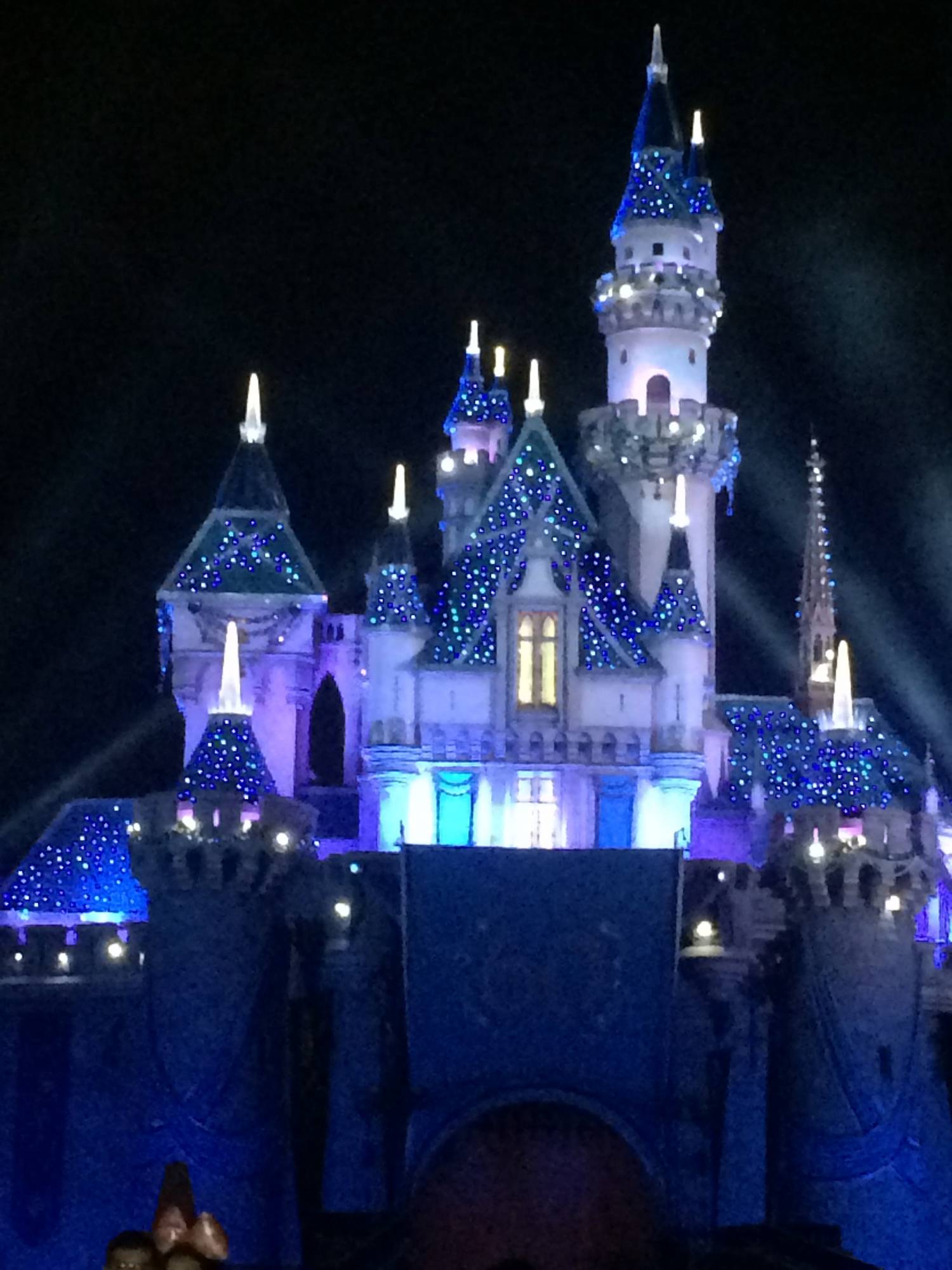Choosing to visit Disneyland instead of Walt Disney World |PassPorter.com
