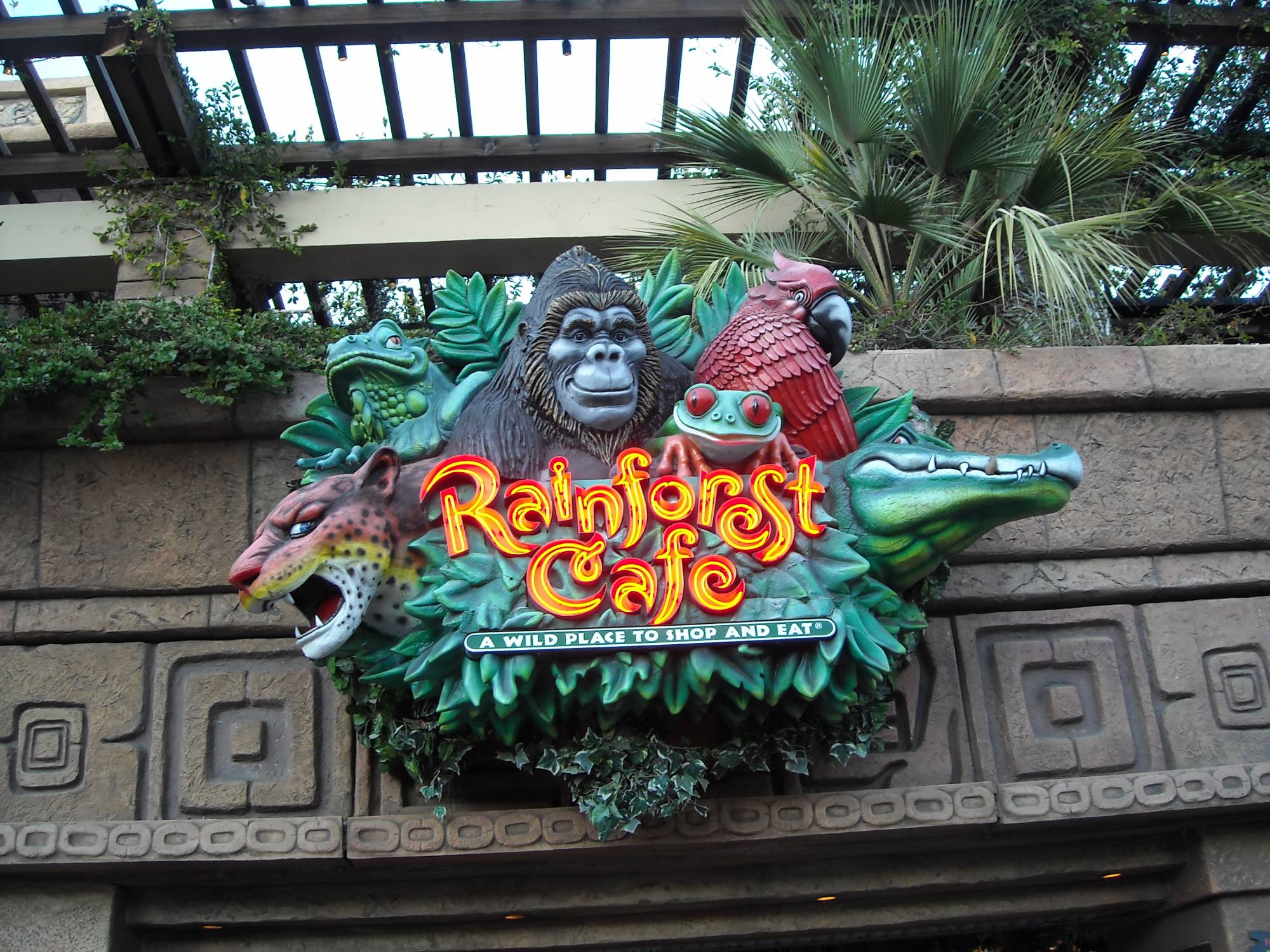 Explore the Rainforest Cafe at the Downtown Disney District in Disneyland |PassPorter.com