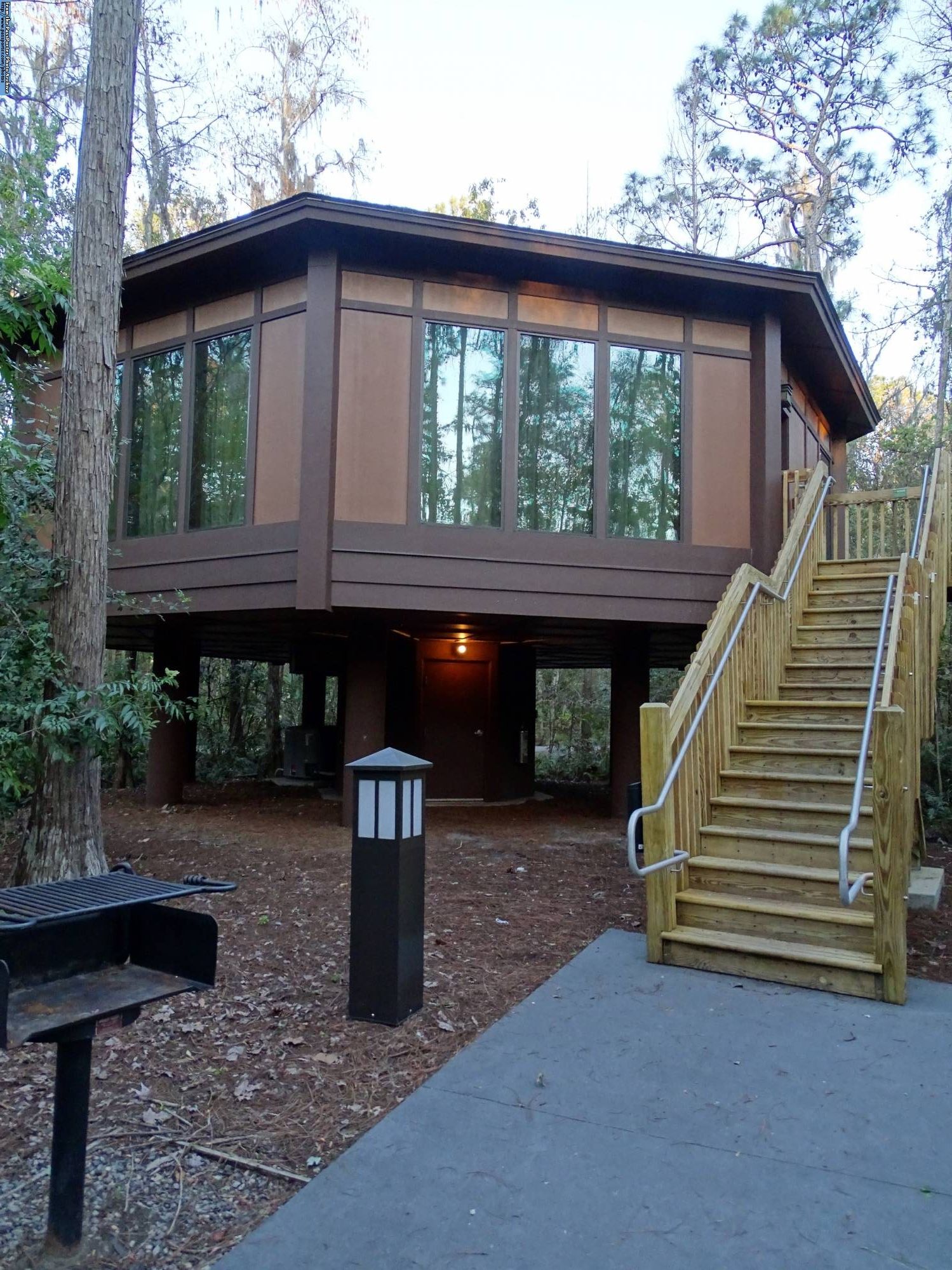 Explore the Treehouse Villas at Disney's Saratoga Springs |PassPorter.com