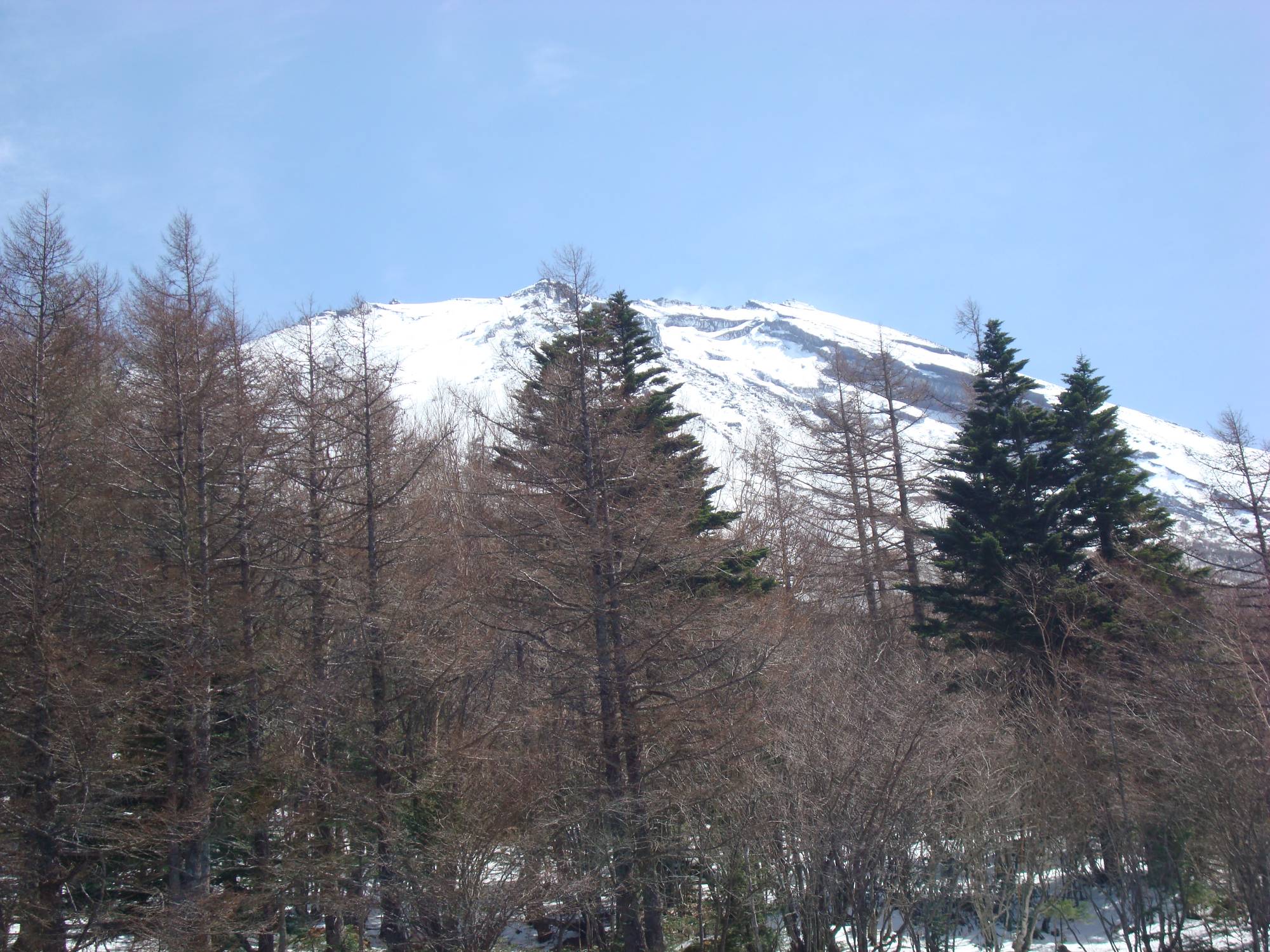 Discover the beauty of Mt. Fuji and Hakone, Japan | PassPorter.com