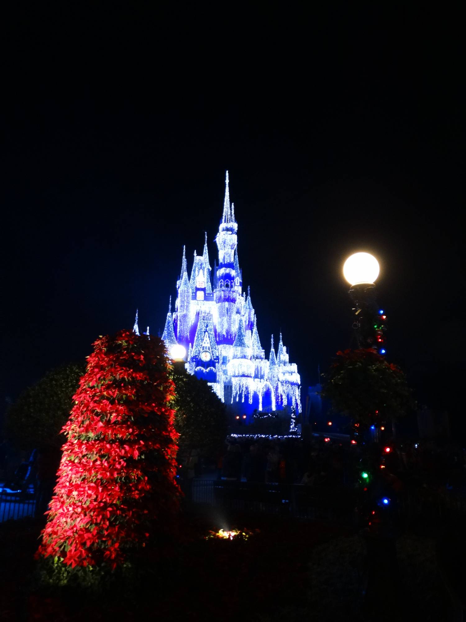 Celebrate the holidays with Mickey at Mickey's Very Merry Christmas Party | PassPorter.com
