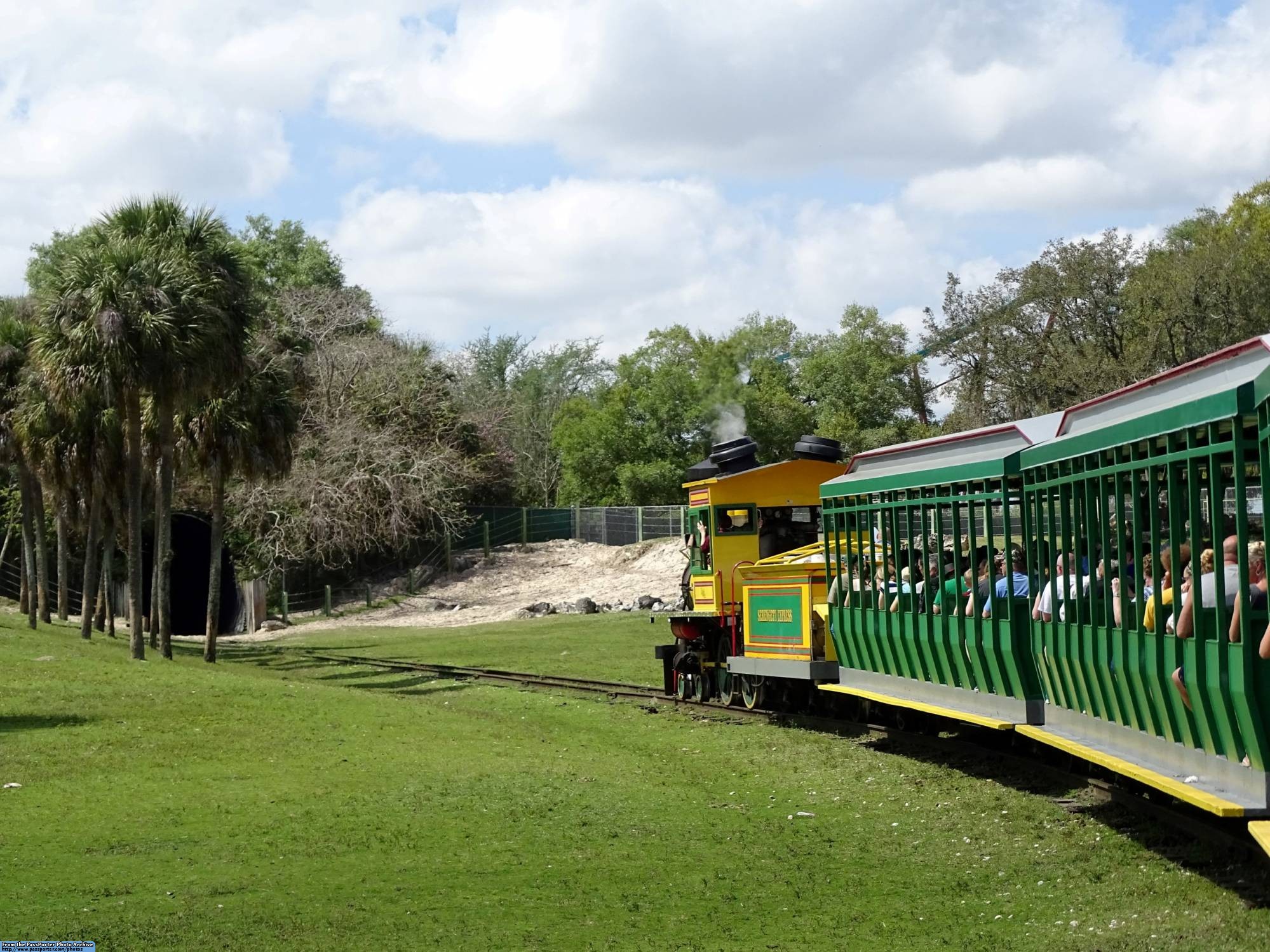 Explore the savannah at Busch Gardens in Tampa | PassPorter.com
