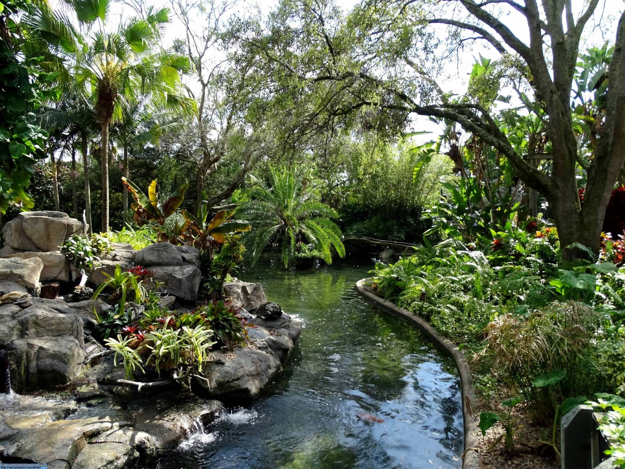 Take a walk on the wild side at Busch Gardens Tampa | PassPorter.com
