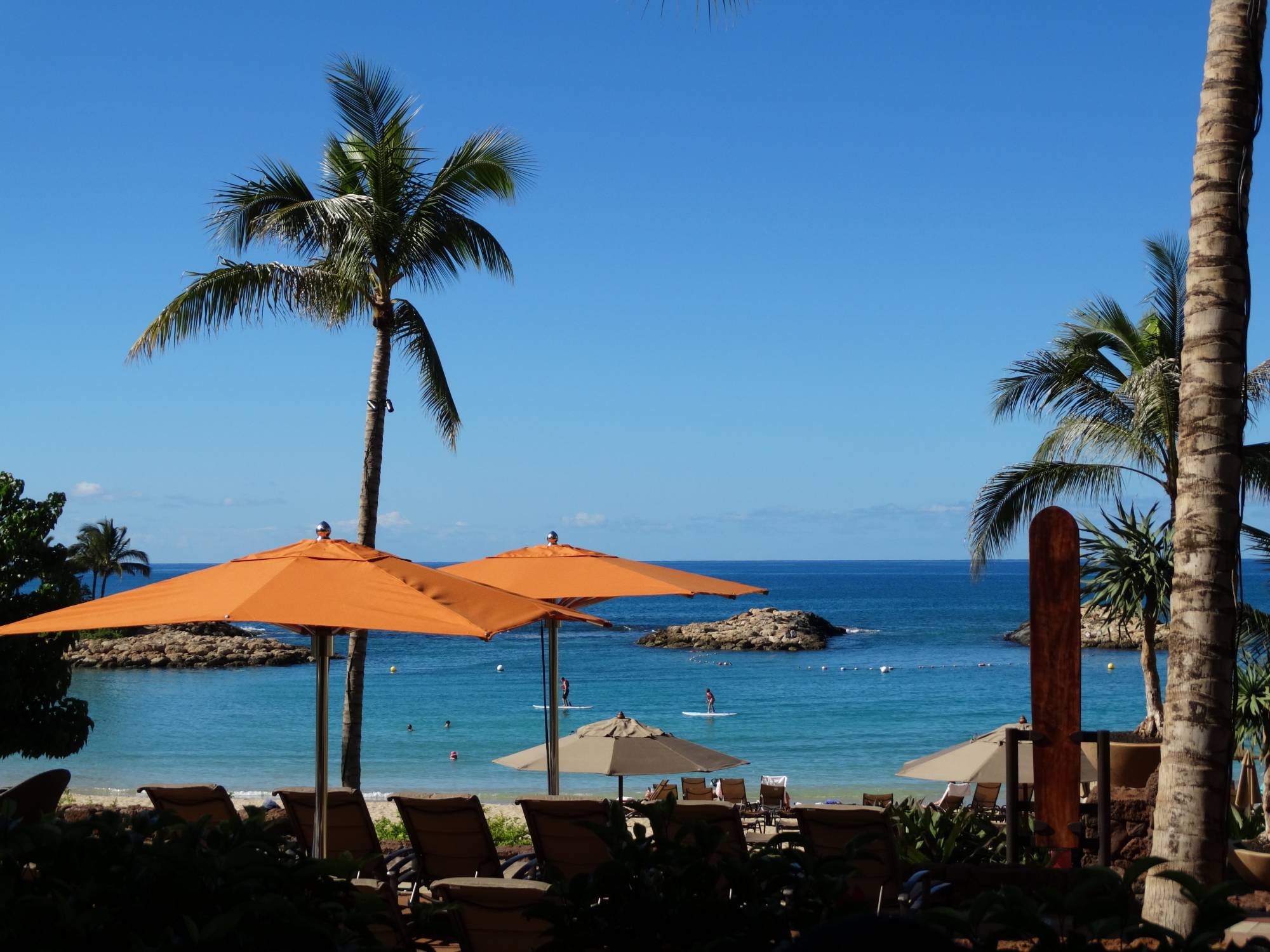 Enjoy fine Hawaiian cuisine at 'AMA'AMA at Aulani, a Disney Resort & Spa at Ko Olina |PassPorter.com
